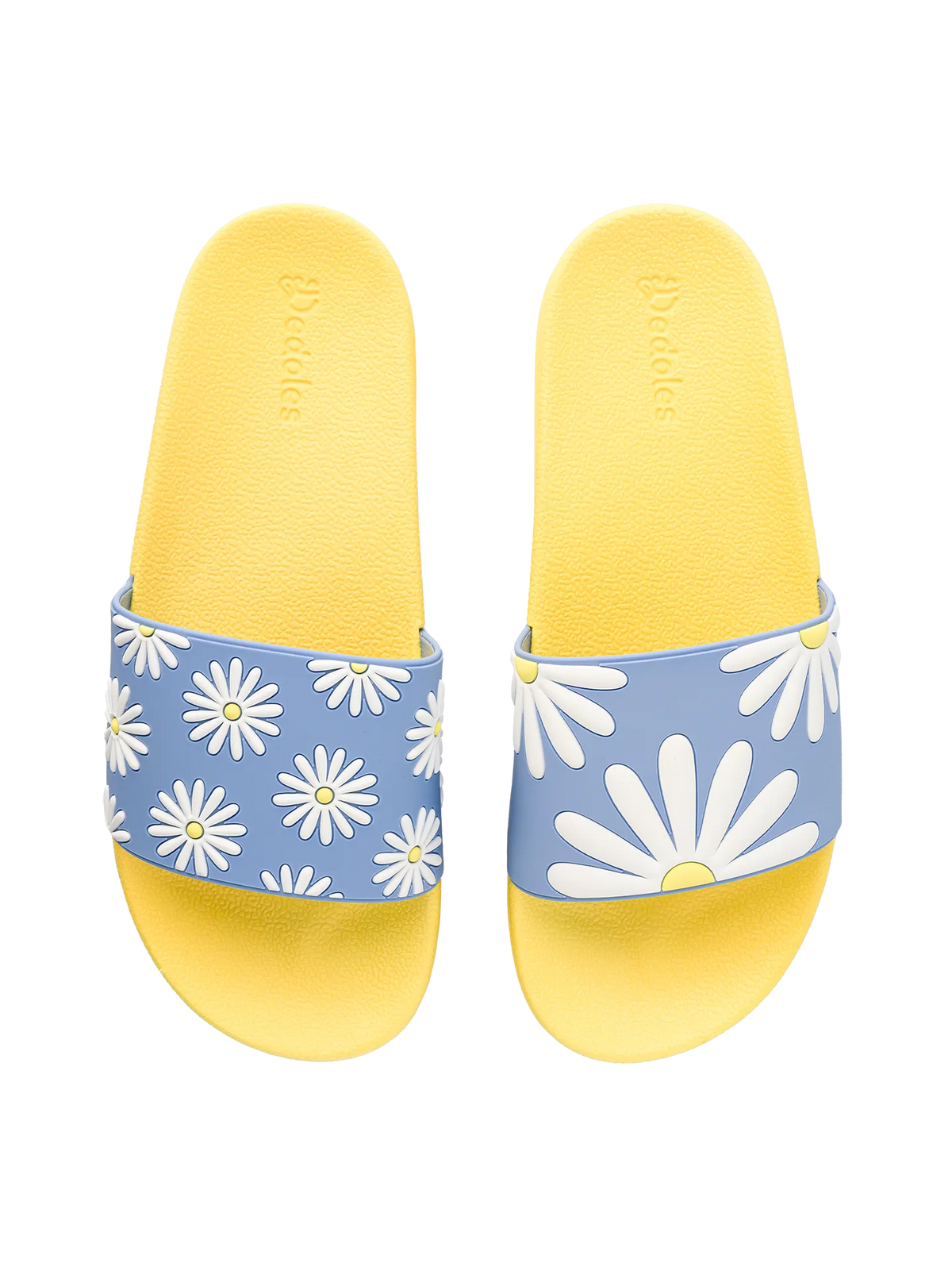 slides-sunny-daisy-bc/bcaf2f5e6a8b2d07e6b63eab9236c642730bc4b9