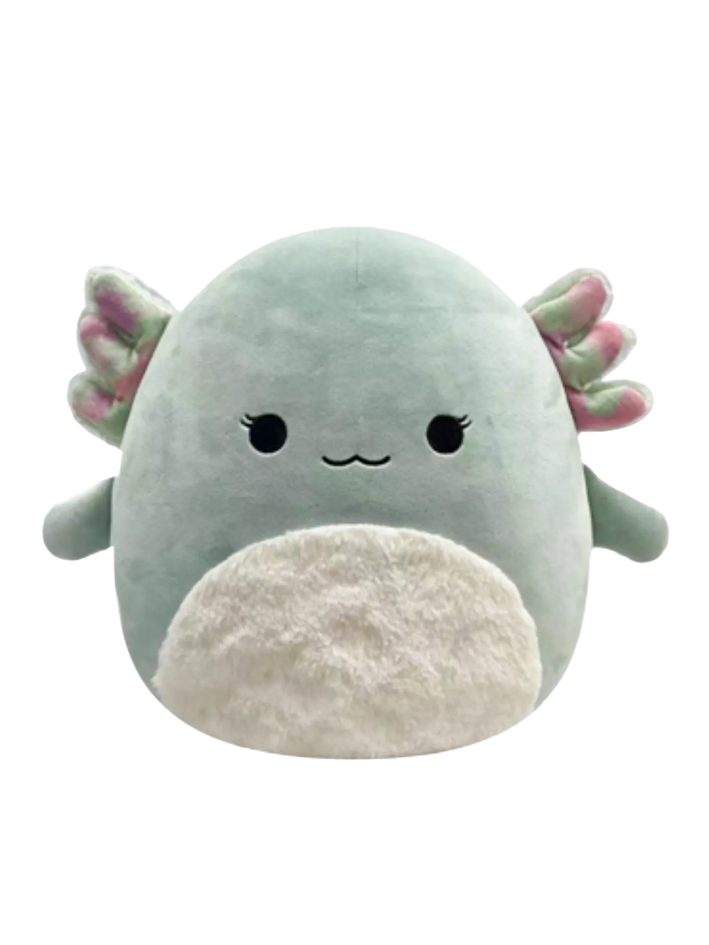 squishmallows-chasmen-the-axolotl-with-fluffy-tummy-30-cm-c3/c327baf486549ddc337e180fbf04959797f99b54
