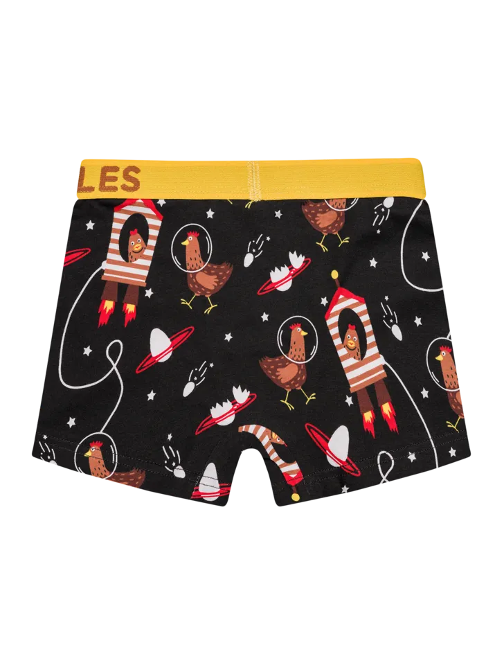 boys-boxers-hen-astronaut-30/30c0ea048a90754fa81748283274bd82d5d4a06d
