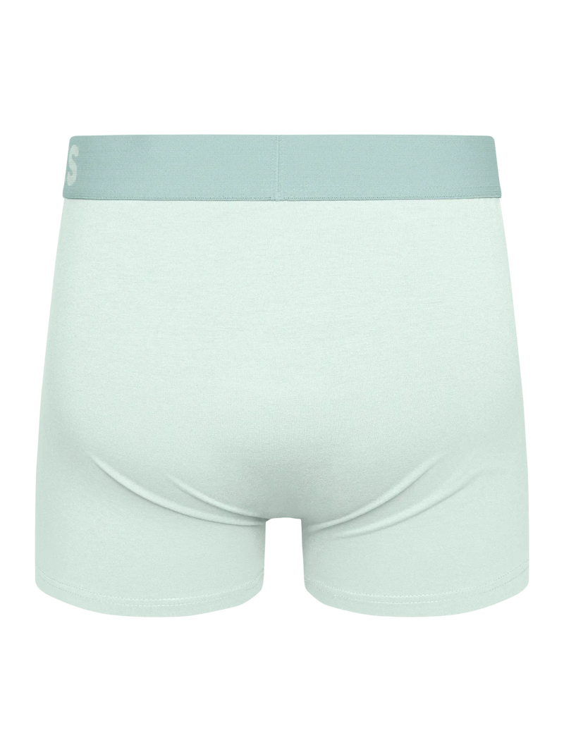 mint-green-mens-trunks-cb/cb52ca28c107140145df1536c89a8e93942aa526