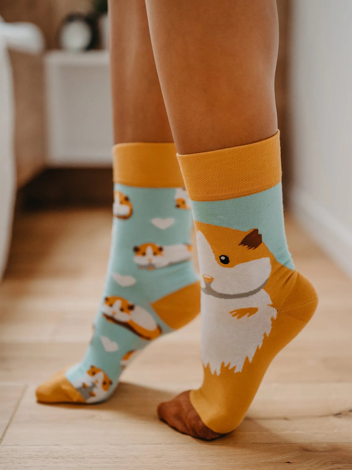 regular-socks-guinea-pig-02-3e/3e486f49549249b350223bdc86d70298085cc4c9