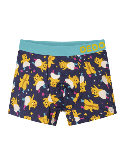 boys-boxers-party-hamsters-okt-38/38105d7aa08bbd258f7f48242692ae1d65e26c45