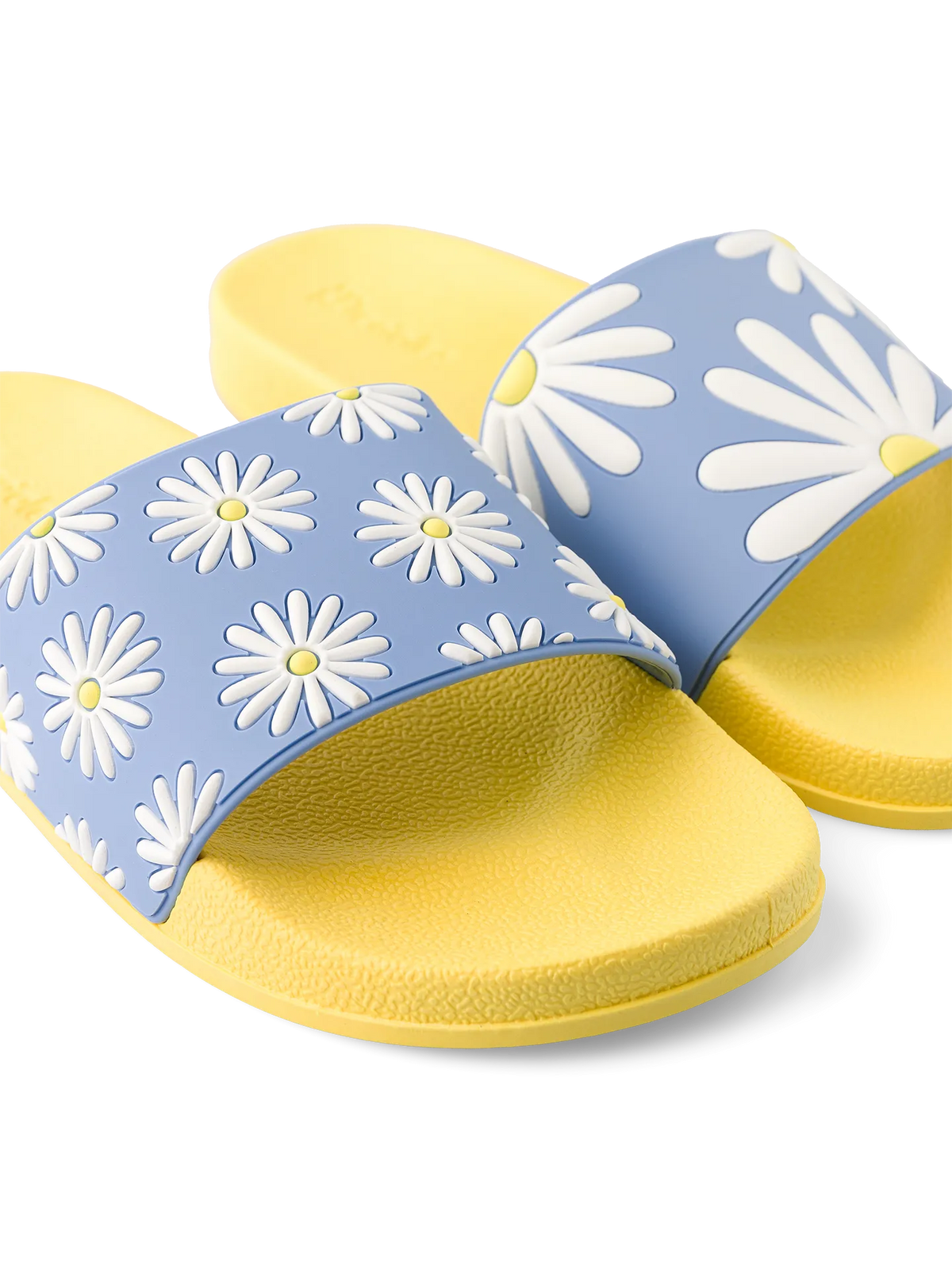 slides-sunny-daisy-e0/e0490b0b78583425cb1559df34fae5d5e28f0700