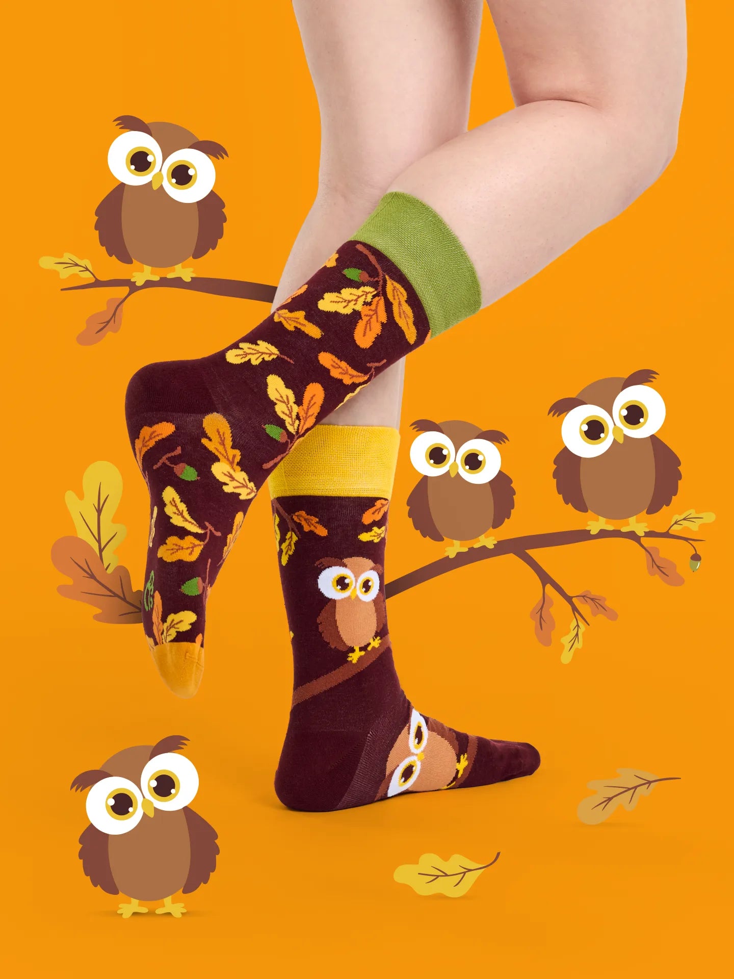 regular-socks-curious-owl-02-e0/e08743dfe34f46fc79168c34c98fbd989e27ae80