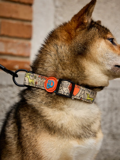 dog-collar-dog-pack-e0/e0cbd588c21eab80b68fe80776bf0c9a1bcab637