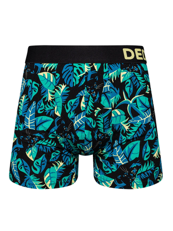 Boxeri Veseli Bărbați Panteră Nocturnă