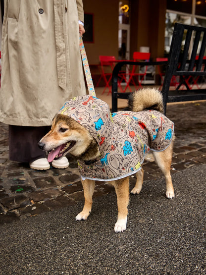 dog-raincoat-dog-pack-e6/e68fff6d944ecf74ff233dd5fb997e8b8a956c89