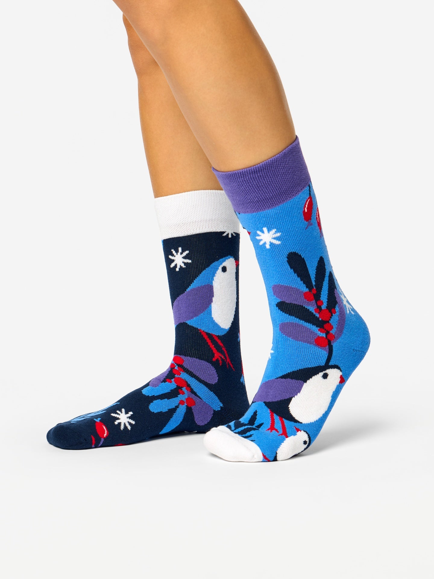 warm-socks-bird-in-winter-d4/d42a36d8e16f2ecb436f56e5f9ac74e40de5f156