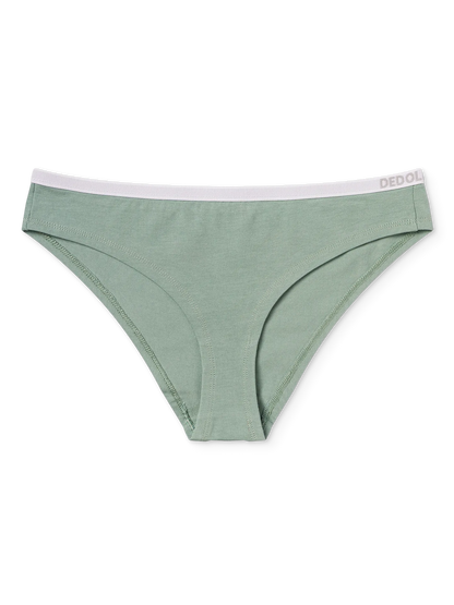 sage-green-womens-briefs-1-ea/eaf4c6488a8b24b9ed1480ceae50ed518735dede