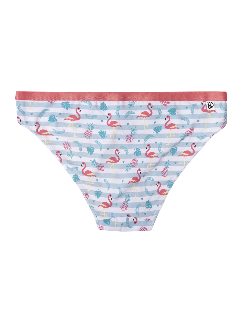 womens-briefs-love-flamingos-f2/f2abca91ff754dc0154ec447e3b4f8ea51fef28d