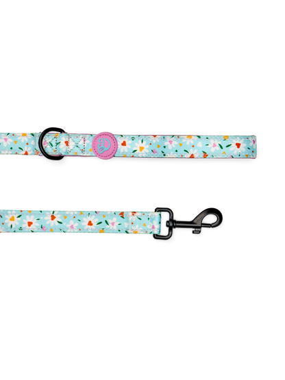 dog-leash-hearts-daisies-25/25821adf3ab0824ebd24e704d335e1da8cfb08b9