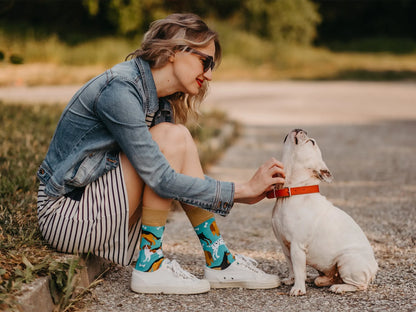 regular-socks-dog-friends-02-44/44b869a683e38a29dac16709610c50cff4129912