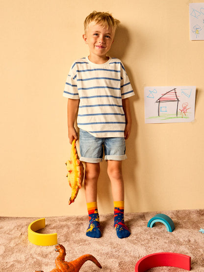 kids-socks-dinosaur-world-okt-f9/f93c3e145f56ed991594e0b9ff60493a02afece9