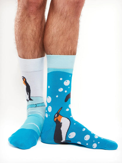 regular-socks-penguins-fa/fa17a2560f456033890340d87742d5289b7e9577