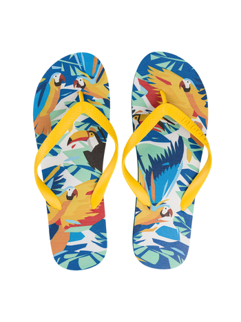 Șlapi Veseli Păsări Tropicale