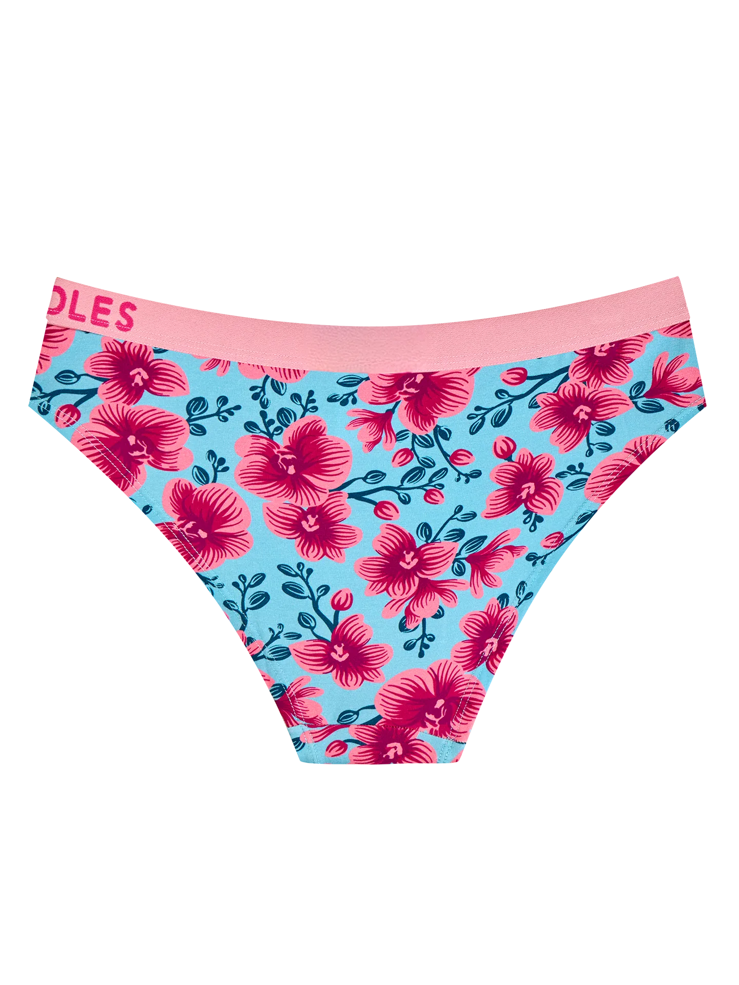 womens-modal-briefs-orchid-43/43fba5214d9955d2549673a555526ea3064f2c31